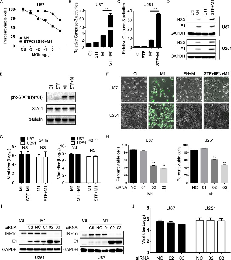 FIG 3