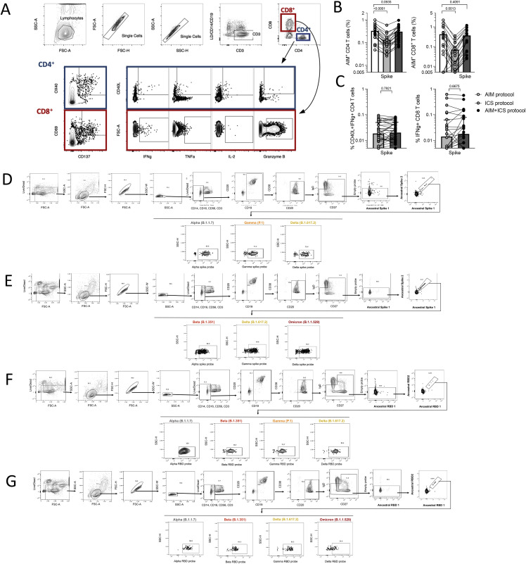 Figure S1