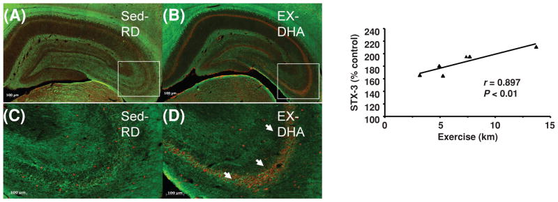 Figure 17