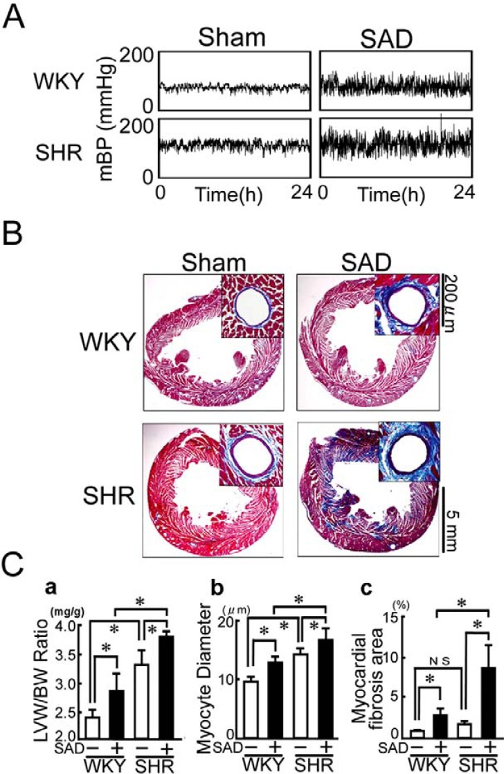 Fig. (2)