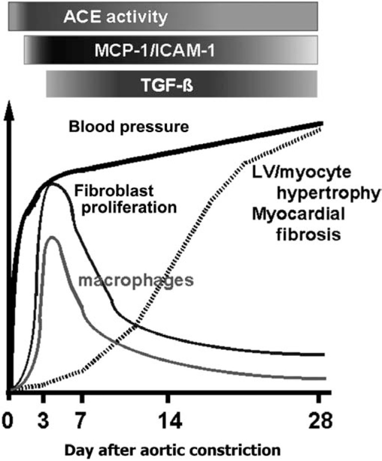 Fig. (3)