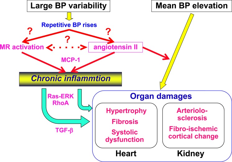 Fig. (9)