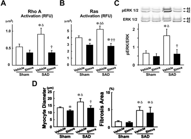 Fig. (7)