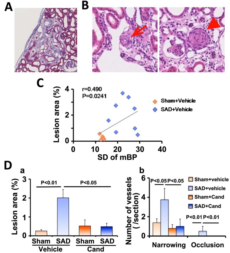 Fig. (8)