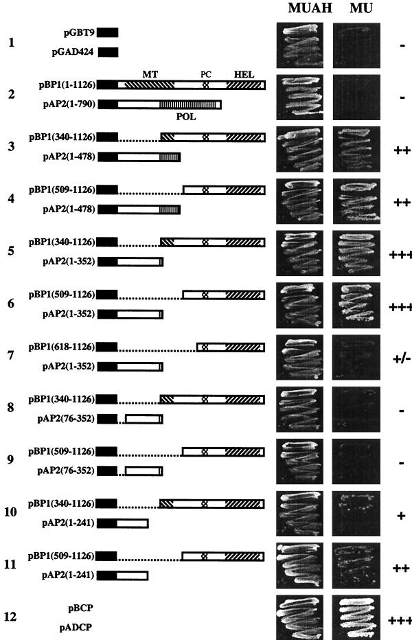 FIG. 1