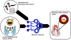 Graphical Abstract