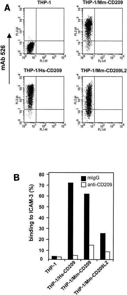 FIG. 5.