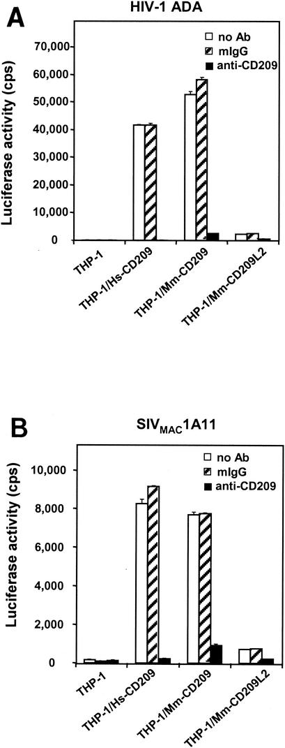 FIG. 6.