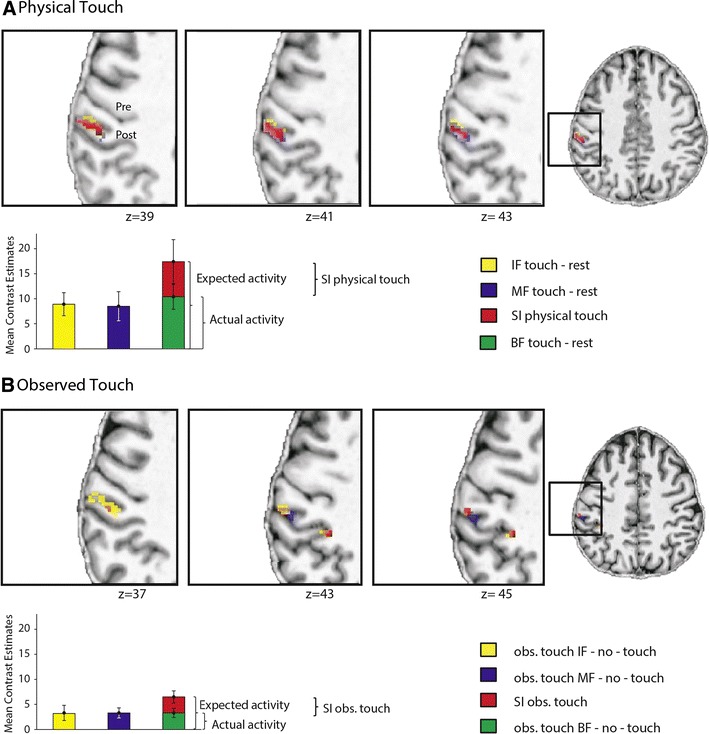 Fig. 3