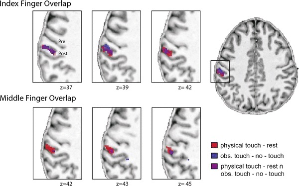 Fig. 4