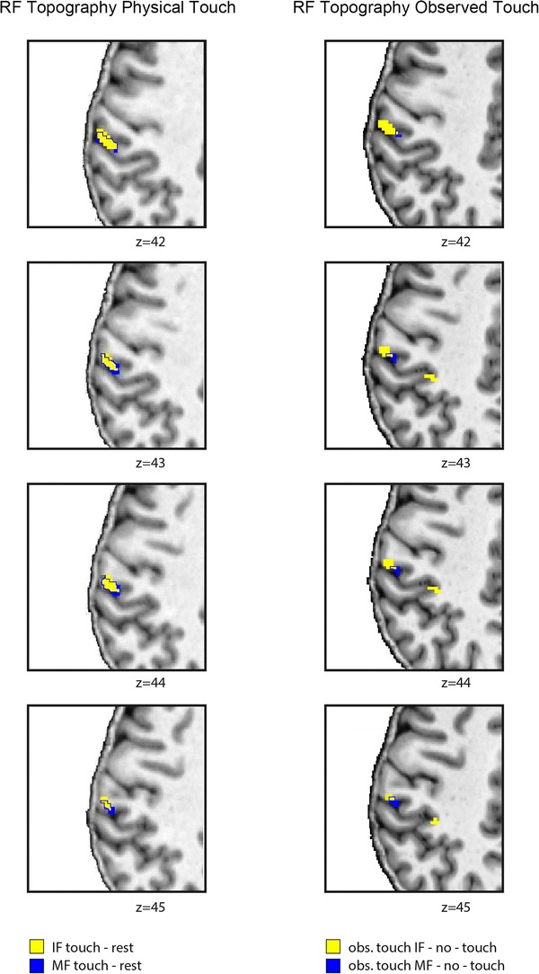 Fig. 5