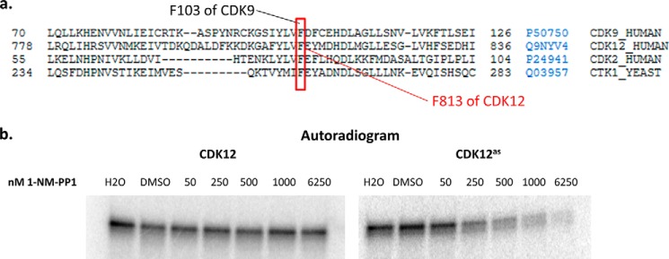 FIGURE 5.