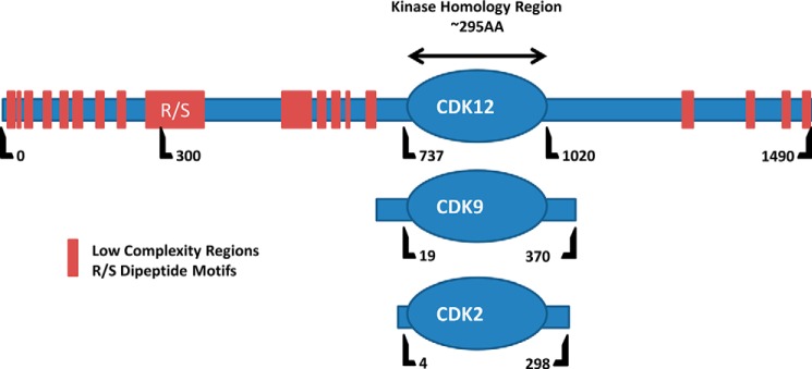 FIGURE 1.