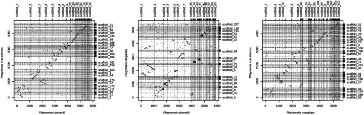 Figure 7.