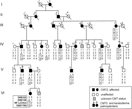 Figure  1