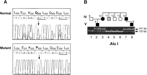 Figure  3