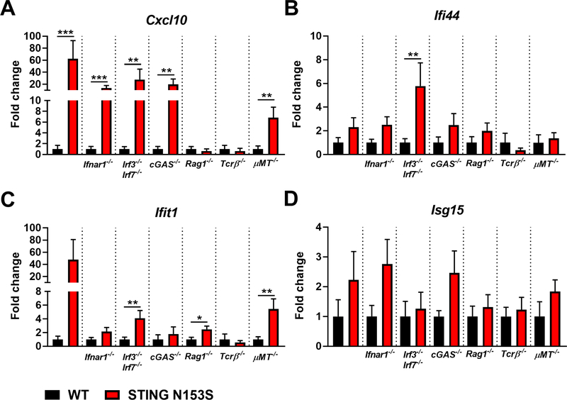 FIG 6.