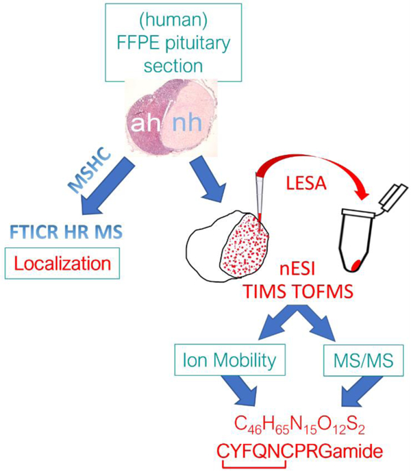 graphic file with name nihms-1819857-f0001.jpg