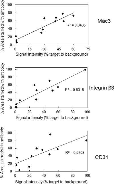 Figure 6B