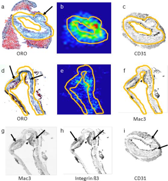 Figure 6A