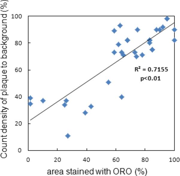 Figure 5B