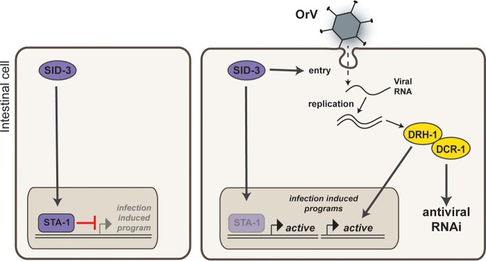 FIG 7 