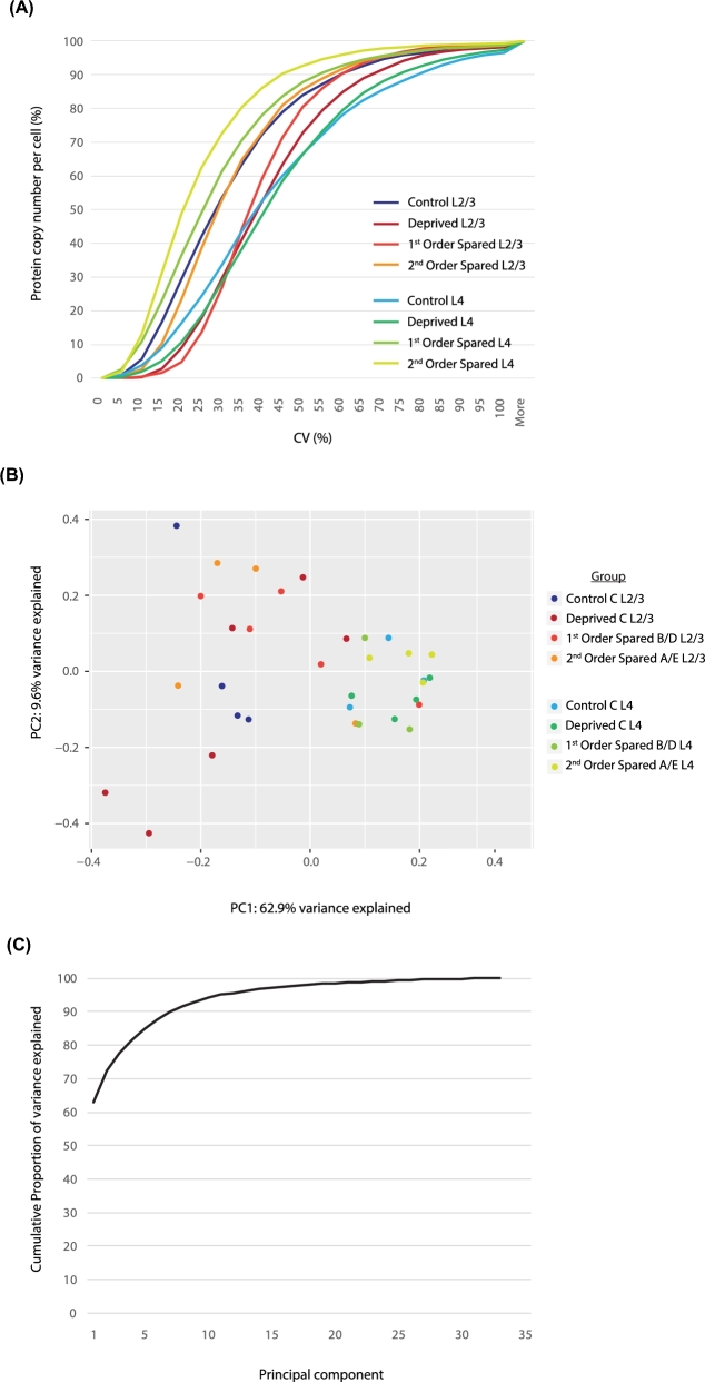 Figure 5: