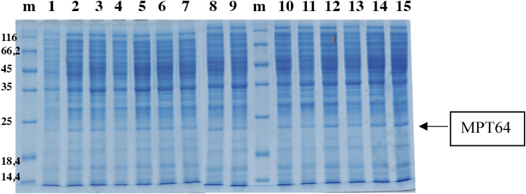 Fig. 3