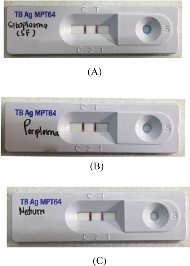 Fig. 7