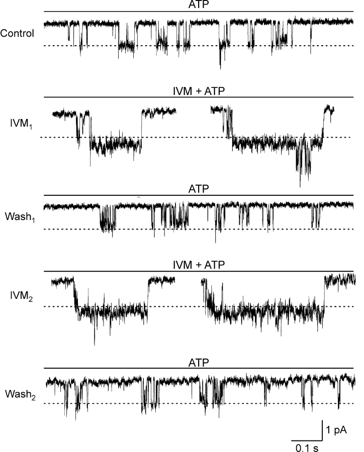 Figure 7. 