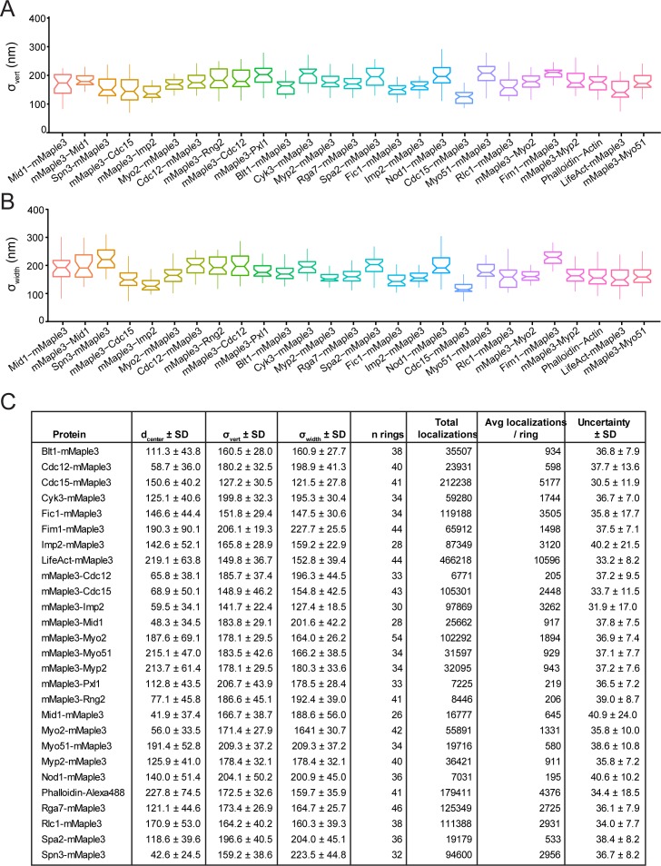 Figure 2—figure supplement 1.