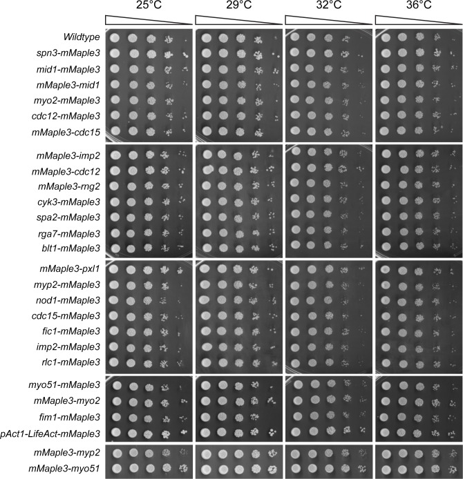 Figure 2—figure supplement 2.