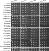 Figure 2—figure supplement 2.