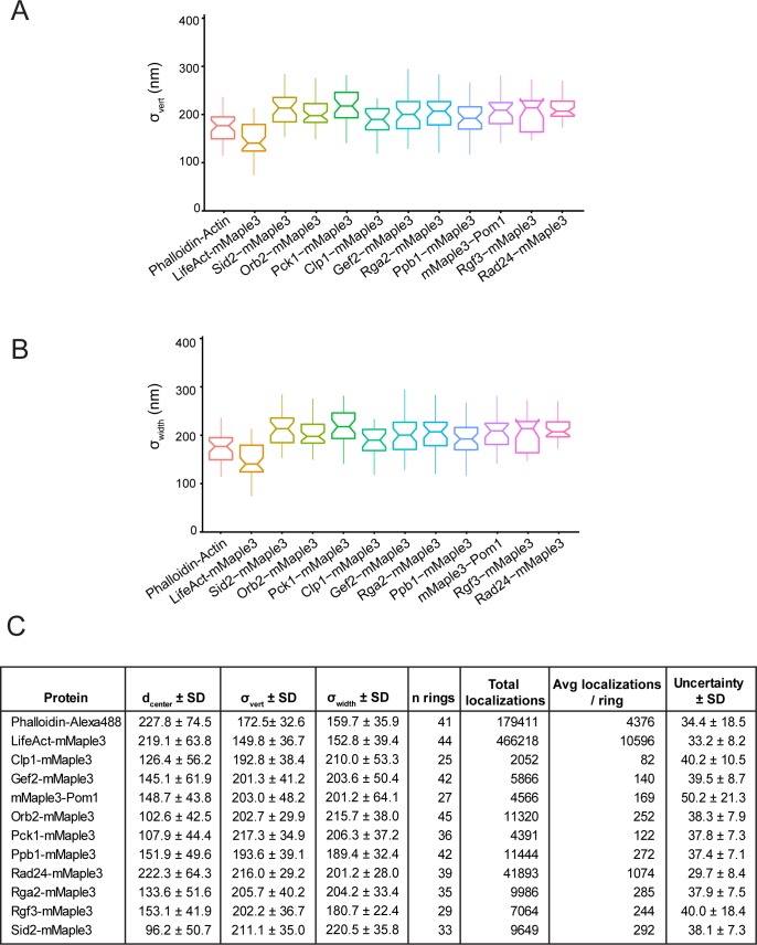 Figure 3—figure supplement 1.