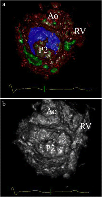 Fig. 8