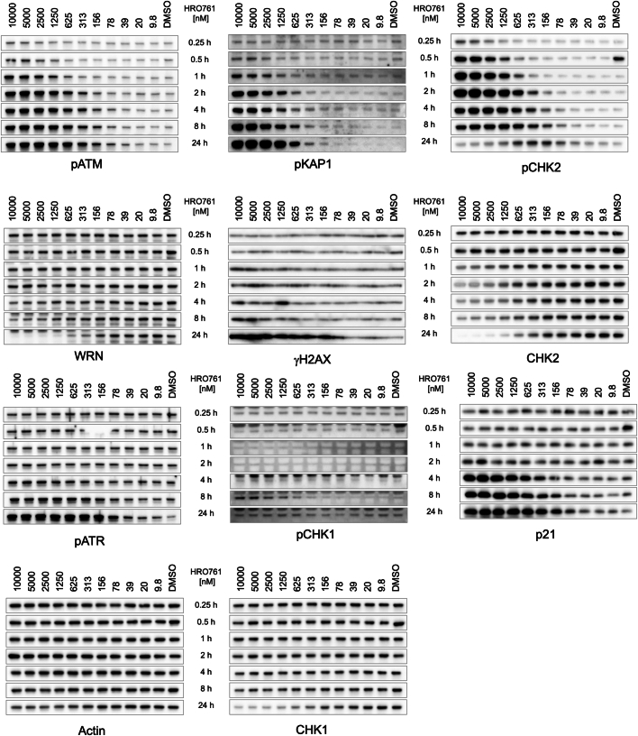 Extended Data Fig. 5