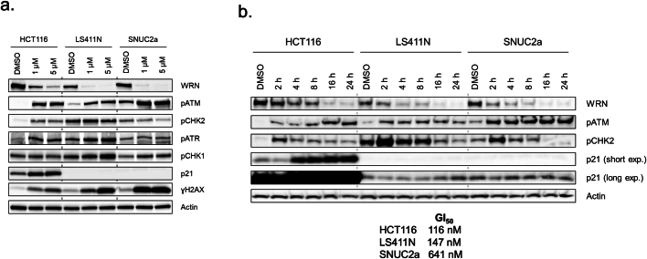 Extended Data Fig. 6