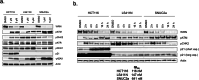 Extended Data Fig. 6