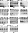 Extended Data Fig. 5