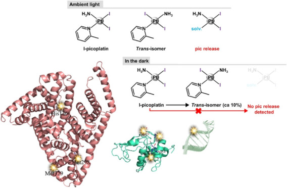 graphic file with name ic4c05424_0010.jpg