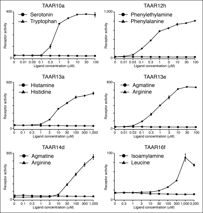 Figure 4—figure supplement 1.