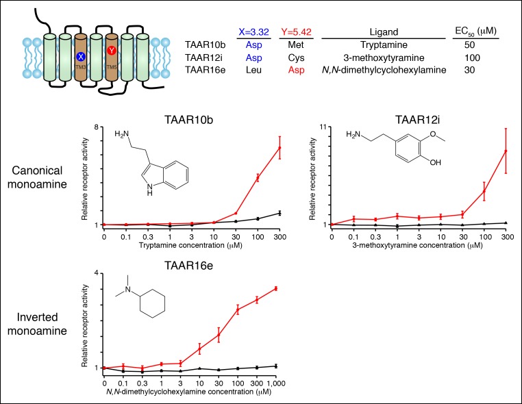 Figure 3—figure supplement 1.