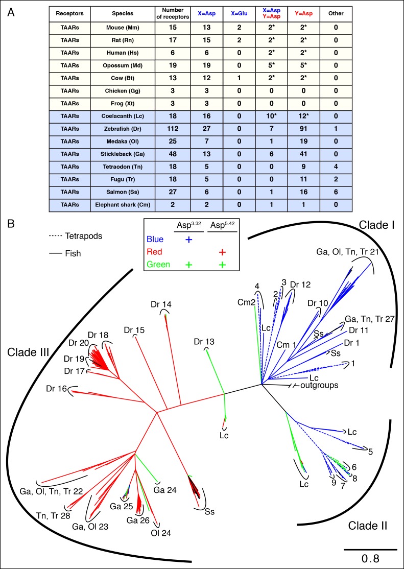 Figure 2—figure supplement 1.