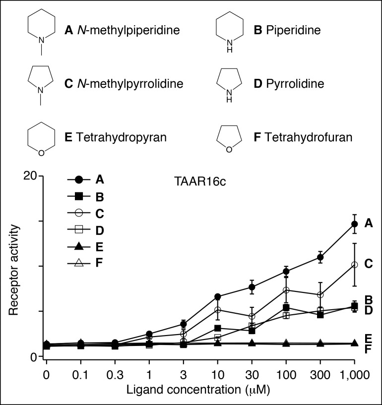 Figure 4—figure supplement 2.