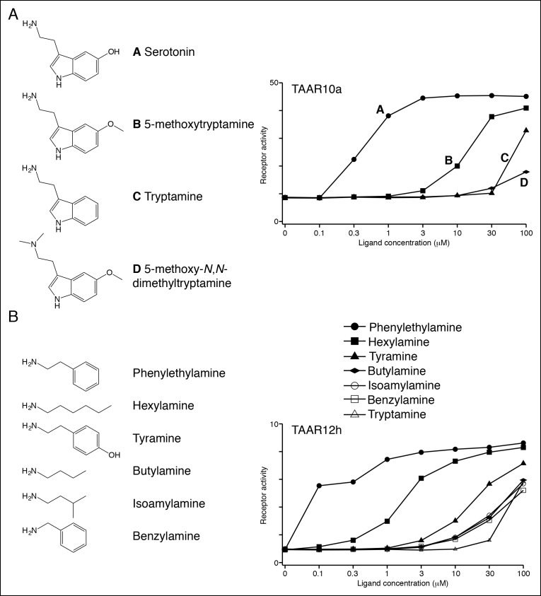 Figure 3—figure supplement 2.