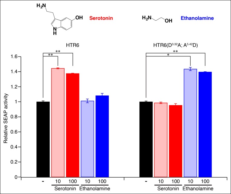 Figure 6—figure supplement 1.