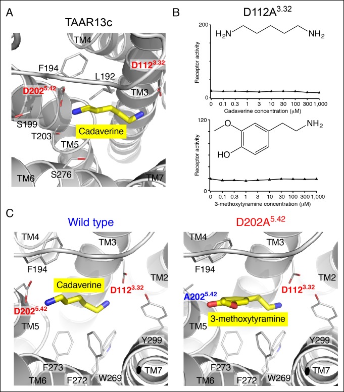 Figure 1—figure supplement 1.