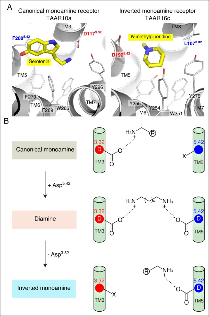 Figure 6.