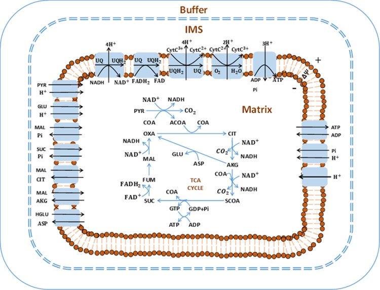 Fig 1