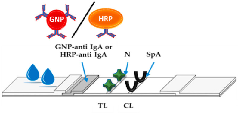 Fig. 8